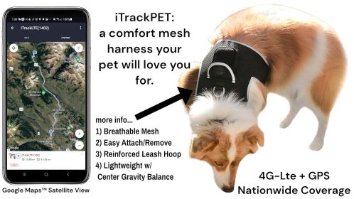 Portable GPS Tracking for Dog Realtime Waterproof Collar Pet Tracker Size:XS