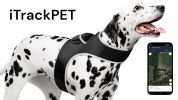 Rechargeable Pocket GPS GSM Tracking Collars for Hunting Dogs Realtime Size:M