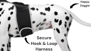 Movement Sensor Dog Collar Tracking Device Waterproof GPS Pet Locator Size:M