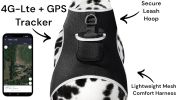 Wireless GPS Tracking Collars for Hunting Dogs Realtime Tracking Tool Size:XXL