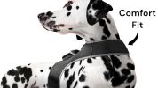 Wireless GPS Tracking Collars for Hunting Dogs Realtime Tracking Tool Size:M