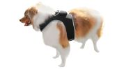 Pet Tracker Wireless GPS Surveillance Pet Tracking Dog Collar Mini Locator Size:L