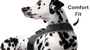 Long Range Tracking Pet Tracker GSM GPS Tracking Collars for Hunting Dogs Size:XL