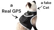 Mini Waterproof Dog Collar GPS Tracking Device Portable Pet Finder NEW Size:M