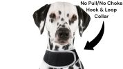 Rechargeable Pocket GPS GSM Tracking Collars for Hunting Dogs Realtime Size:M