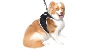 Battery Saver Mini GPRS GSM GPS Collar for Dogs Waterproof Pet Tracker Size:L