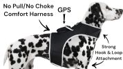 Movement Sensor Dog Collar Tracking Device Waterproof GPS Pet Locator Size:M