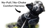 Mini Waterproof GPS Tracking Collars for Hunting Dogs w/ Tracking App Size:XL