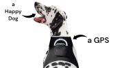 Battery Saver Mini GPRS GSM GPS Collar for Dogs Waterproof Pet Tracker Size:L