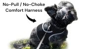 Wireless GPS Tracking Collars for Hunting Dogs Realtime Tracking Tool Size:L