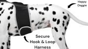 Hunting Made Easy w/ NEW Pet Tracker GPS Tracking Collars for Hunting Dogs Size:XS