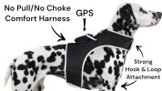 Broad GPS GSM Coverage Wireless Pet Tracking Collars for Hunting Dogs Size:XS