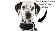 Long Range Tracking Pet Tracker GSM GPS Tracking Collars for Hunting Dogs Size:XL