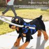 Blind Dog Anti-collision Collar Pet Protective Vest Ring Blind Dog Guiding Harness Dog Guide Training Behavior Aids Pet Supplies