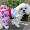 Strawberry Picnic Harness Dress with Matching Leash