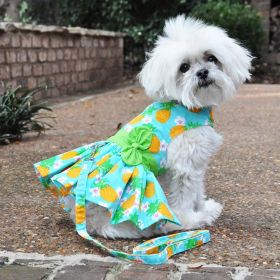 Pineapple Luau Dog Harness Dress with Matching Leash (size: XLarge)