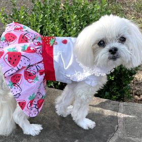 Strawberry Picnic Harness Dress with Matching Leash (size: large)