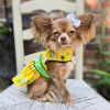 Ladybugs and Daisies Dog Dress with Matching Leash